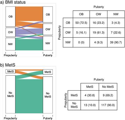 Progression of metabolic syndrome and associated cardiometabolic risk factors from prepuberty to puberty in children: The PUBMEP study